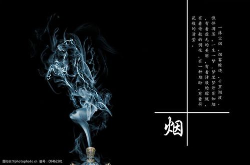 关于烟的画册内页设计图片图片-