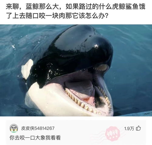 神回复 我抽了一包烟也没想通究竟我输在哪里