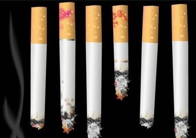 心机女跟童谣比学历,结果被秒杀,陆思诚疯狂补刀